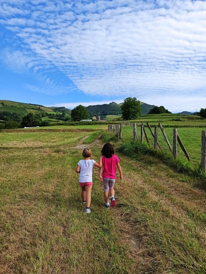 Casa Rural Aldekoa Ziga Buitenkant foto