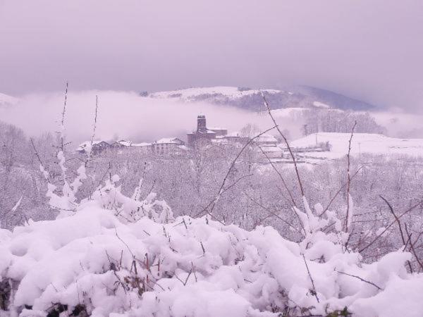 Casa Rural Aldekoa Ziga Buitenkant foto