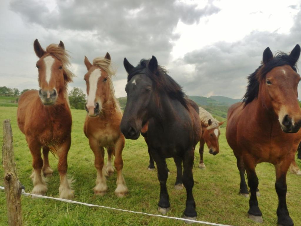 Casa Rural Aldekoa Ziga Buitenkant foto