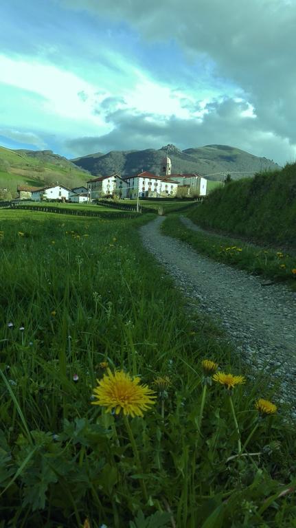 Casa Rural Aldekoa Ziga Buitenkant foto
